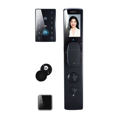 HL-C15 Biometric Smart Door Lock