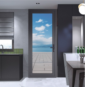 RG60 Modern Style Double Glass Front Door