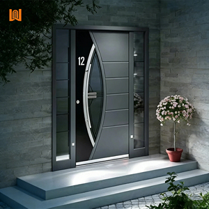 Modern Style Aluminum Double Glazed Door