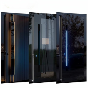 Low MOQ Custom Metal Water Resistant Anti-Theft Front Entrance Pivot Door Steel Security External Front Door for House Modern