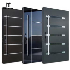 Hitech China Exterior Entrance Stainless Steel Door 36 Inch Exterior Pivot Doors With Smart Lock