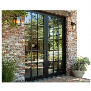 Sunnysky French Style Exterior Entry Double Tempered Glass Swing Door