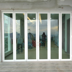 Modern Aluminum Glass Pivot Door