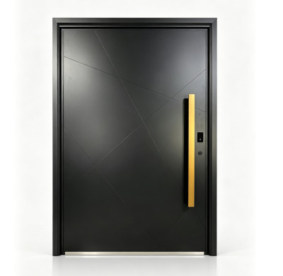 D-005 Matte Black Aluminum Single Door