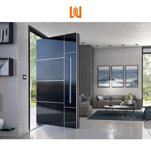 High Quality Customizable Steel Frame Pivot Door With Large Tempered Glass Panels